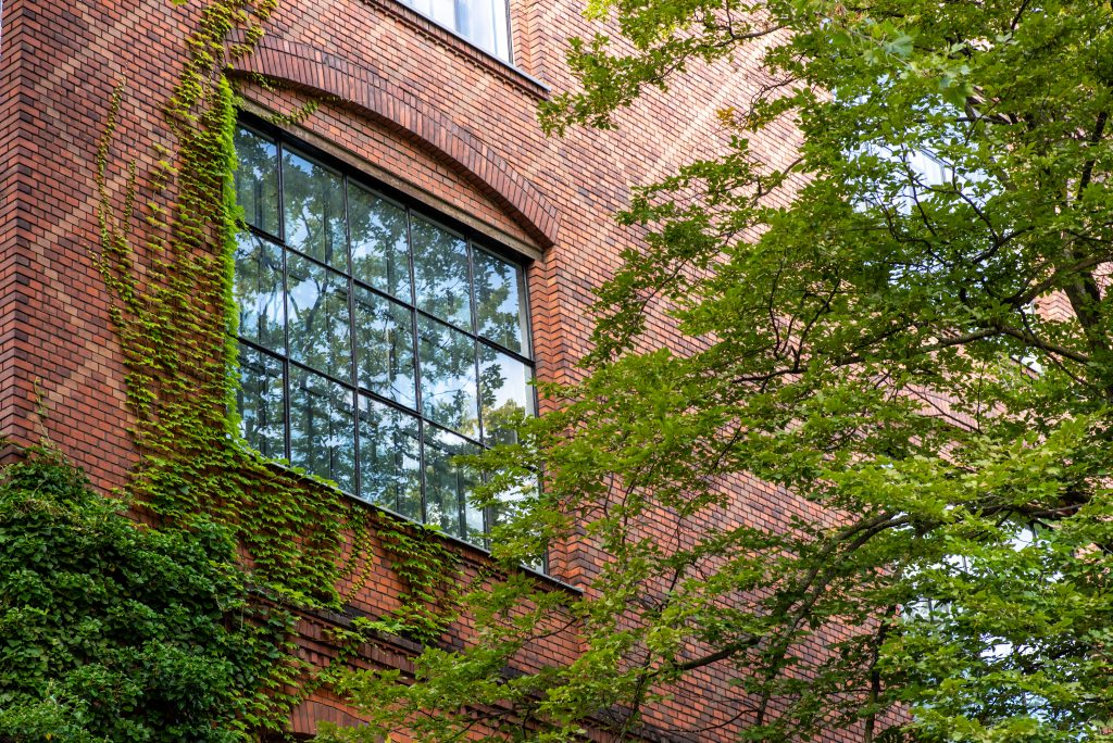 Aussenansicht Atelierfenster in der Potsdamer Straße 98a, 2021